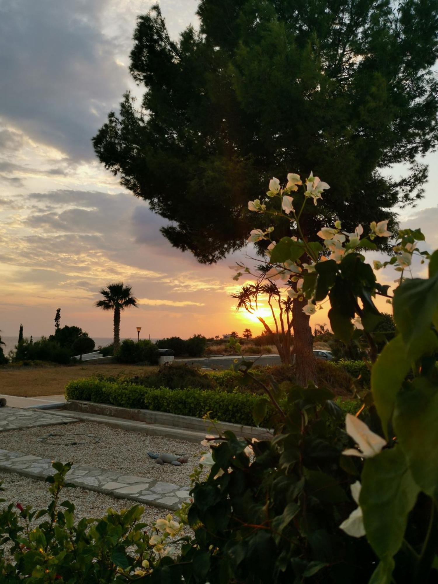 Ocean Pearl Appartement Peyia Buitenkant foto