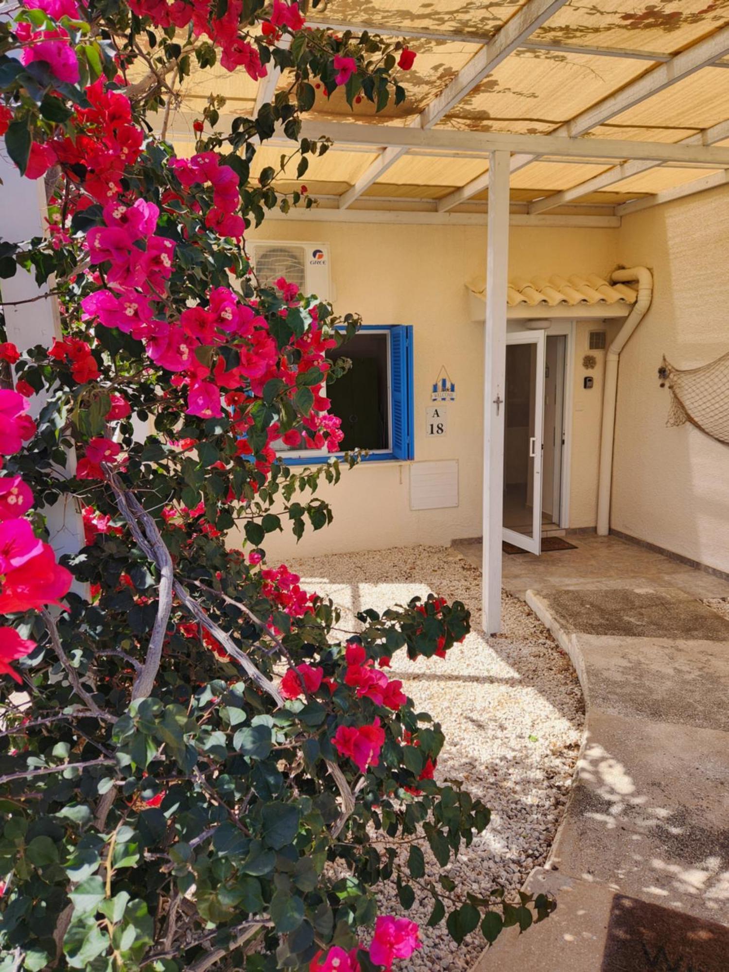 Ocean Pearl Appartement Peyia Buitenkant foto