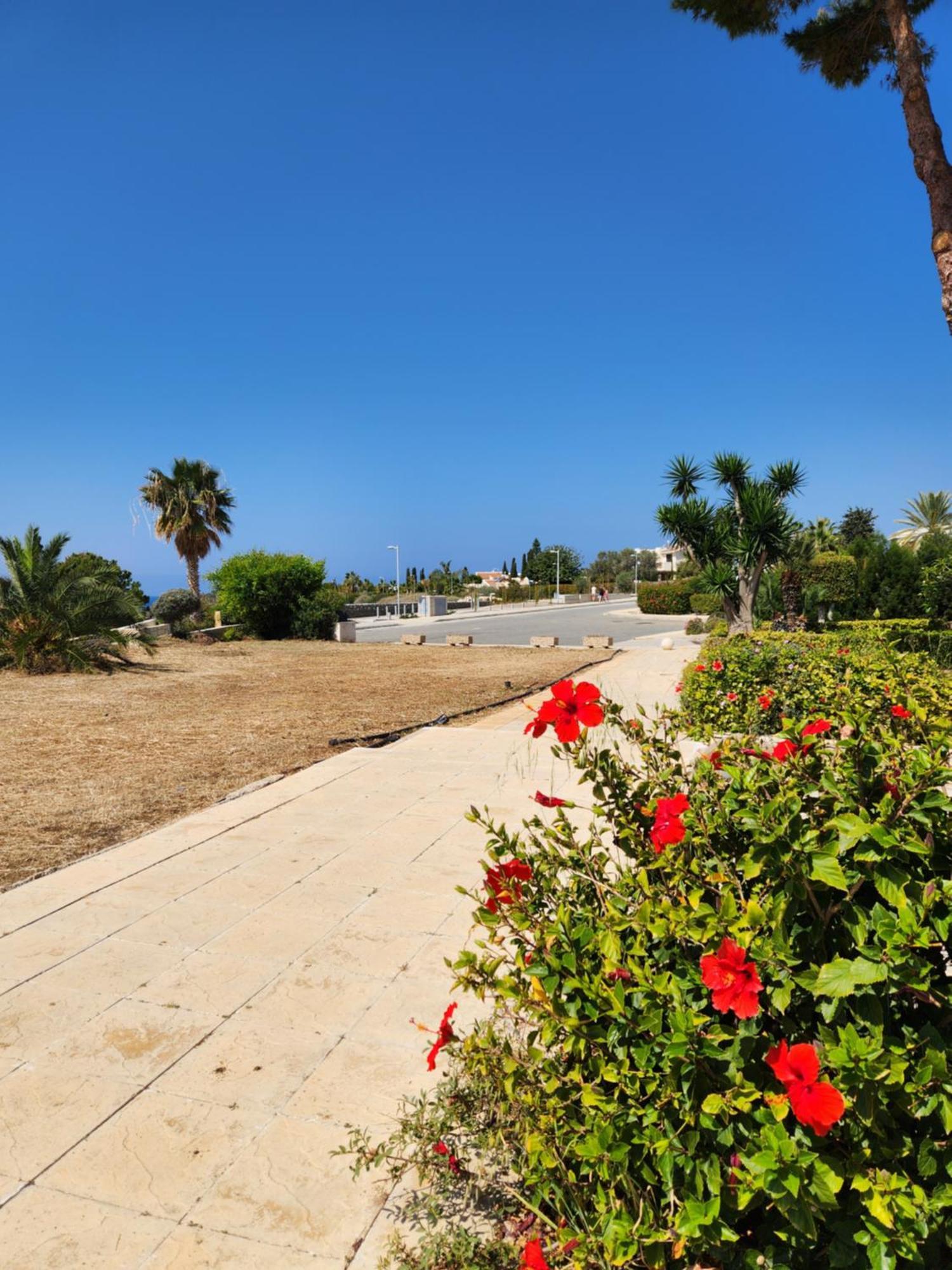 Ocean Pearl Appartement Peyia Buitenkant foto